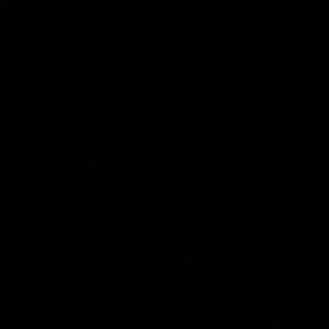 Meet your Posher, Jahnyce